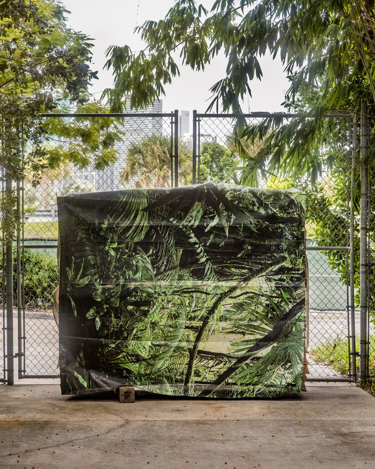 FloodZone — Anastasia Samoylova